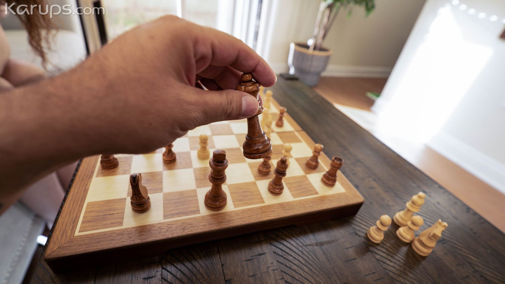 BREED A CHESS CHAMP