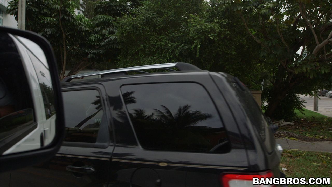 Miami Tours, The Bangbus way