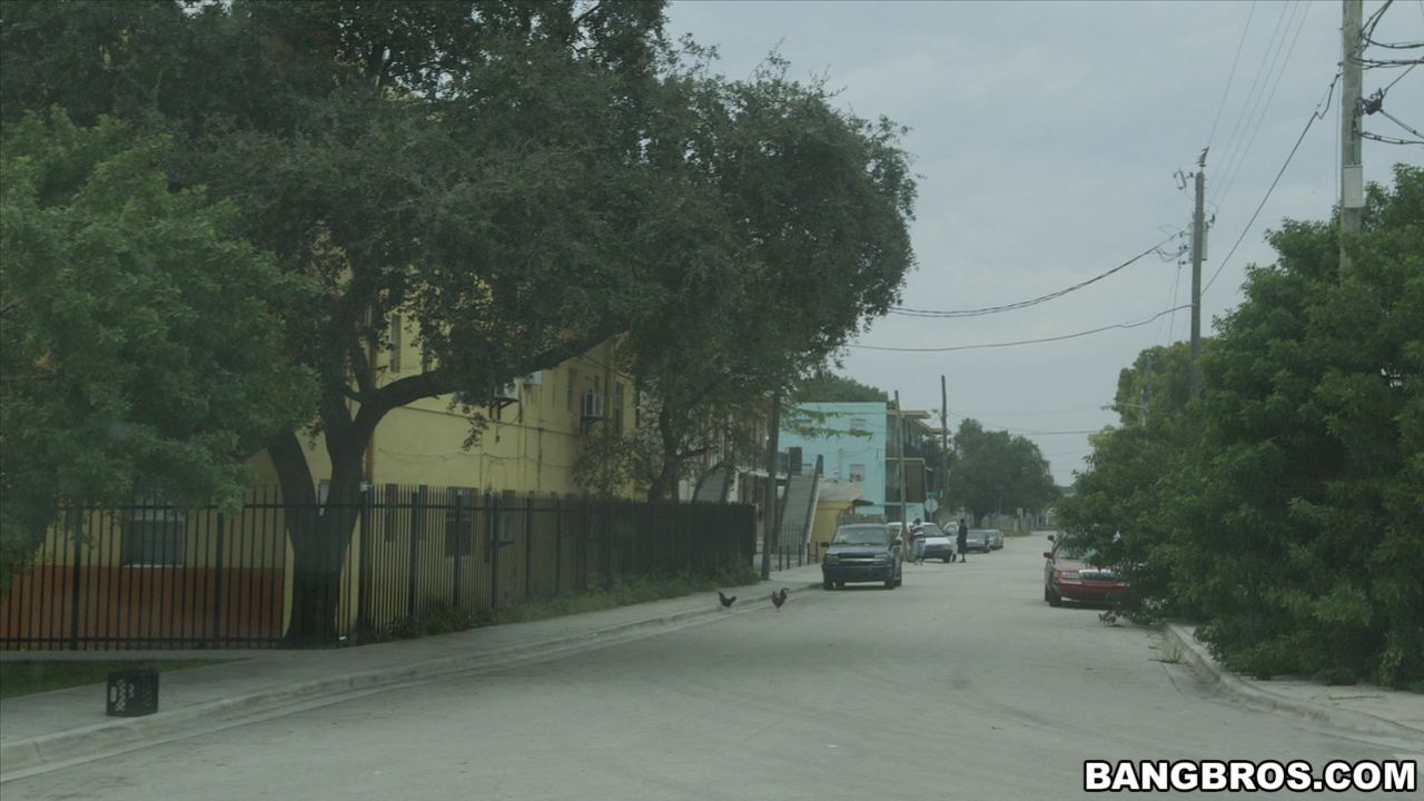 Miami Tours, The Bangbus way