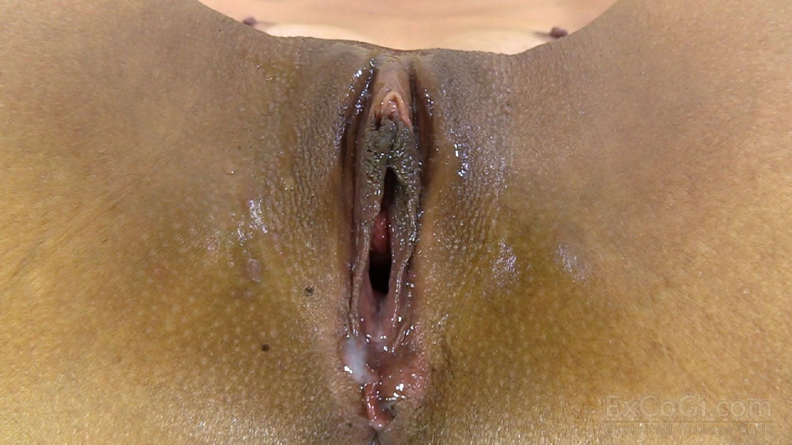 CELESTE 233