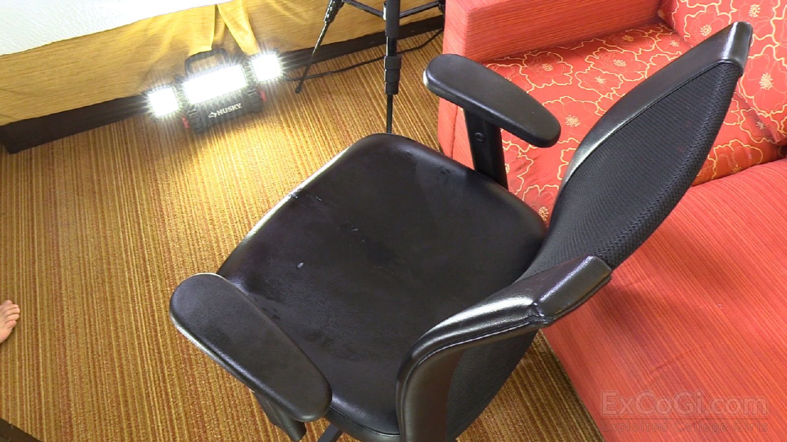 CELESTE 233