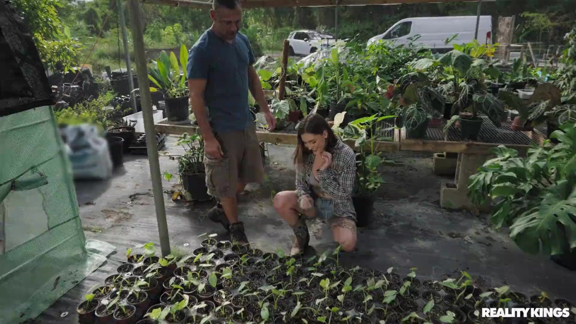 Getting Banged in the Greenhouse