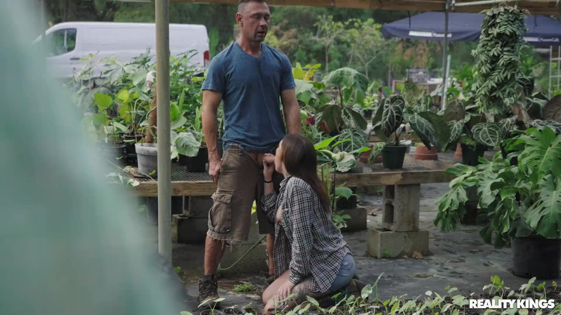 Getting Banged in the Greenhouse