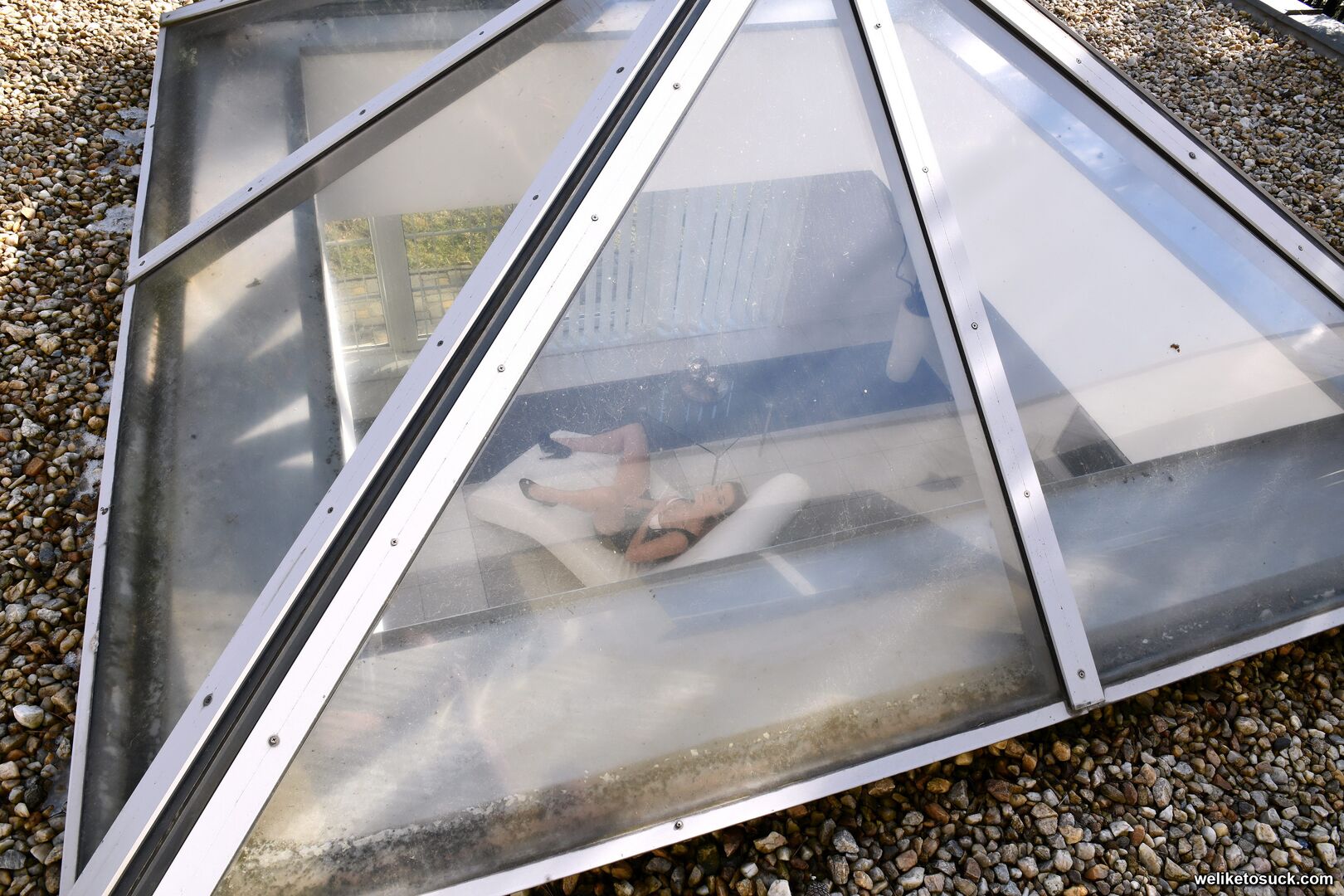 LIZ — VOYEURISTIC NEIGHBOUR