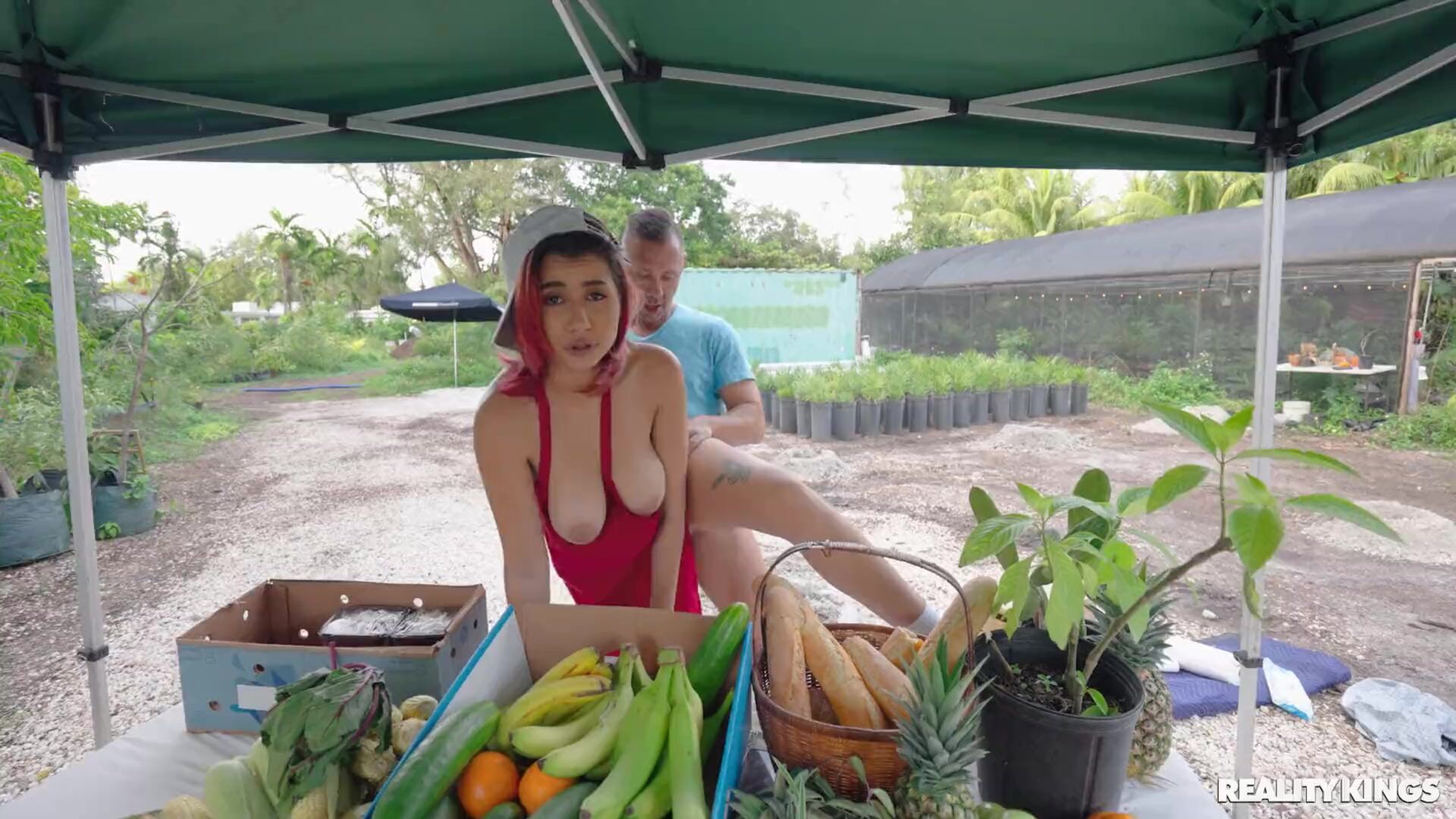 Fresh Corn