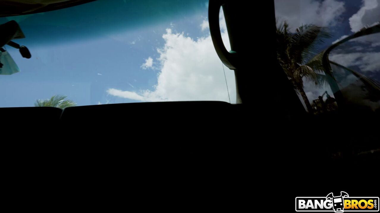 Lily Gets Fucked On The Bus