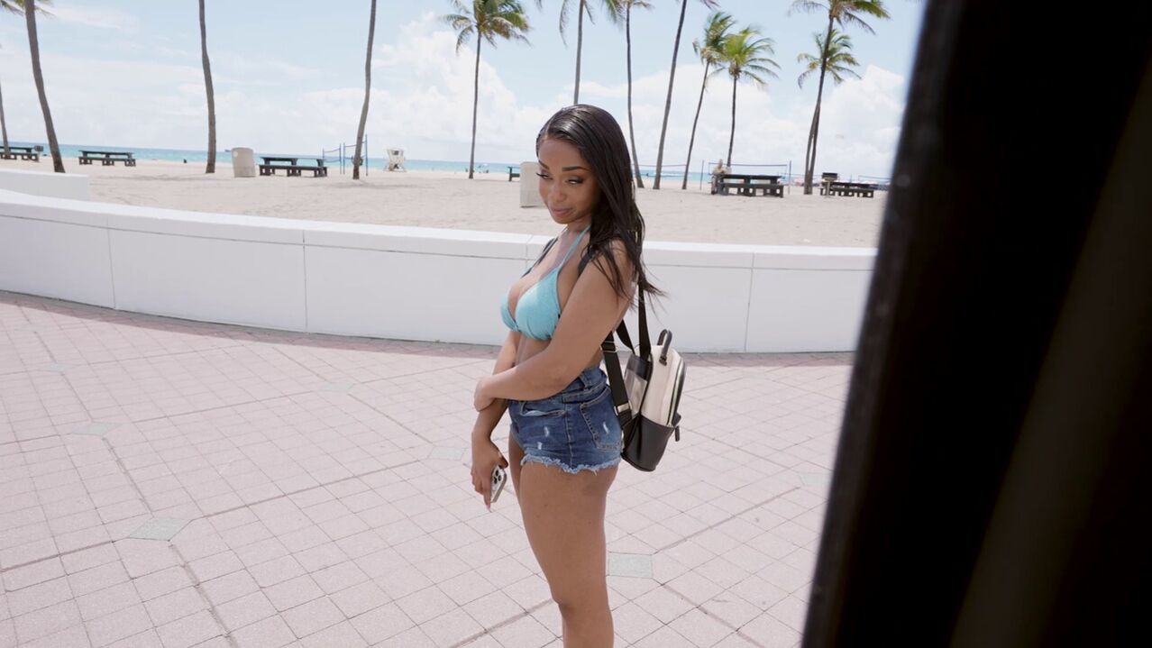 Lily Gets Fucked On The Bus