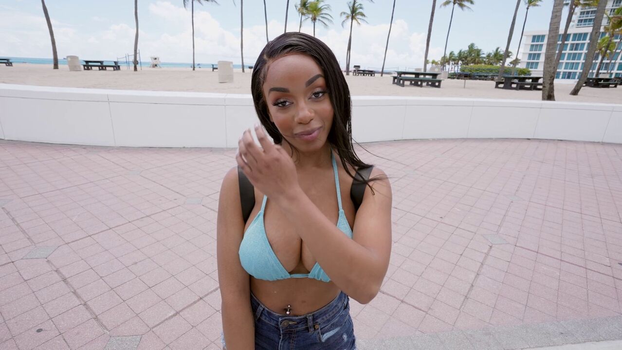 Lily Gets Fucked On The Bus