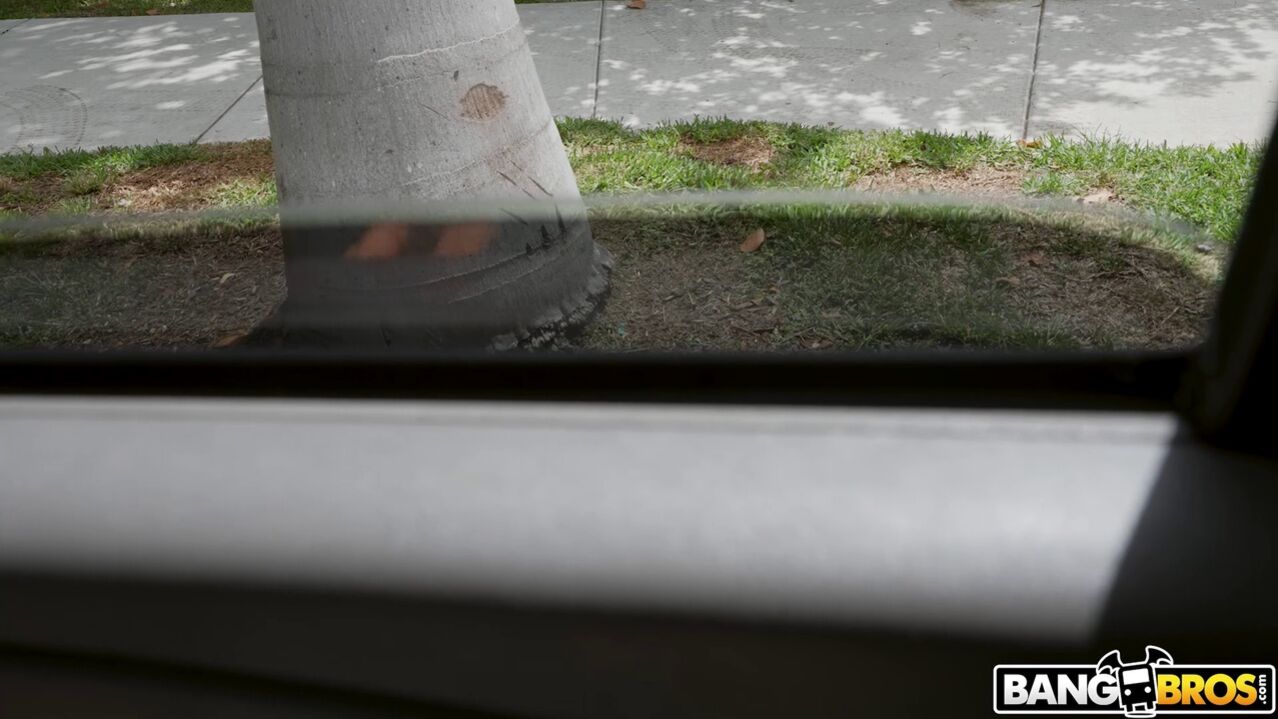 Horny Chick Hops on The Bus
