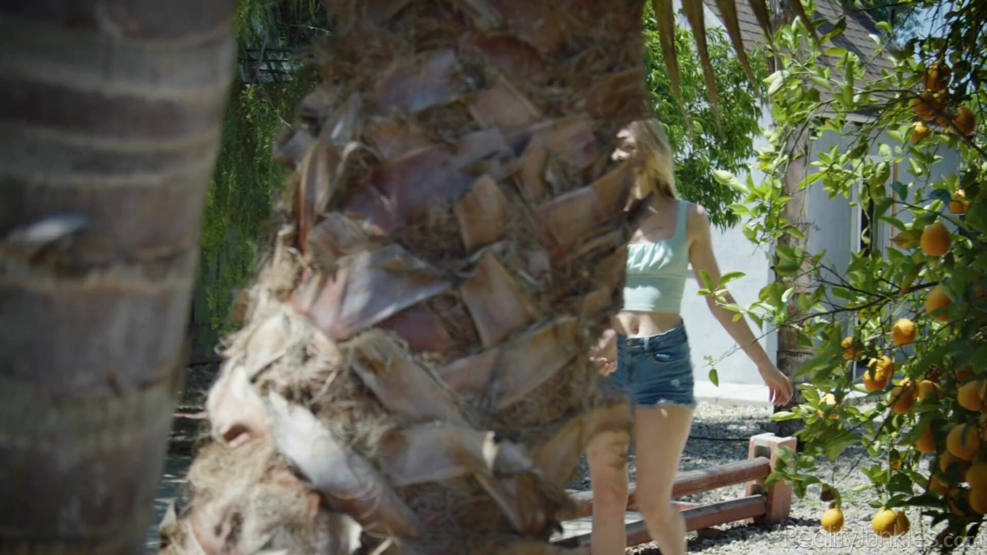 Creampie Virgins 7 Scene 1