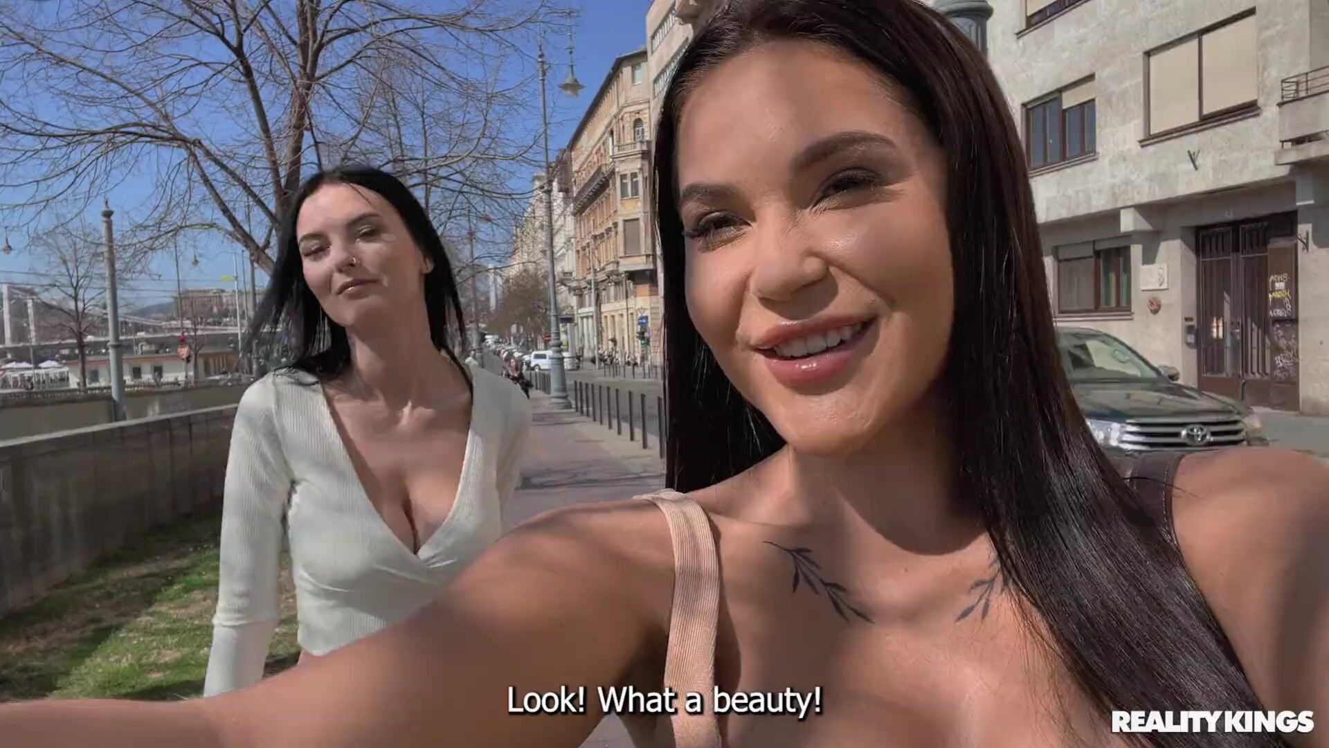 Tit-illating Tourists