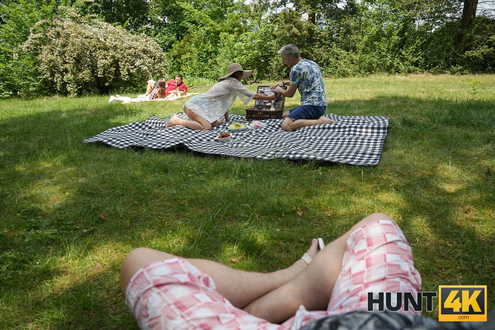 The Pick-up Picnic