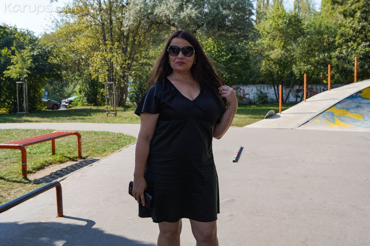PLUMP PARK PICKUP