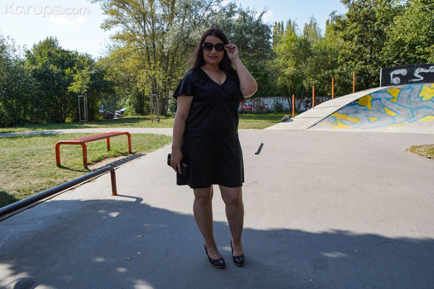 PLUMP PARK PICKUP