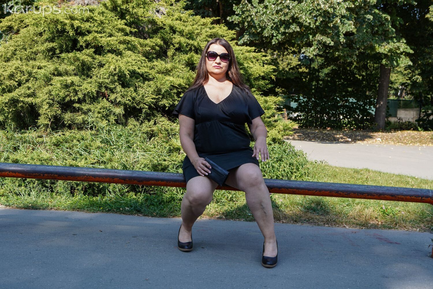 PLUMP PARK PICKUP