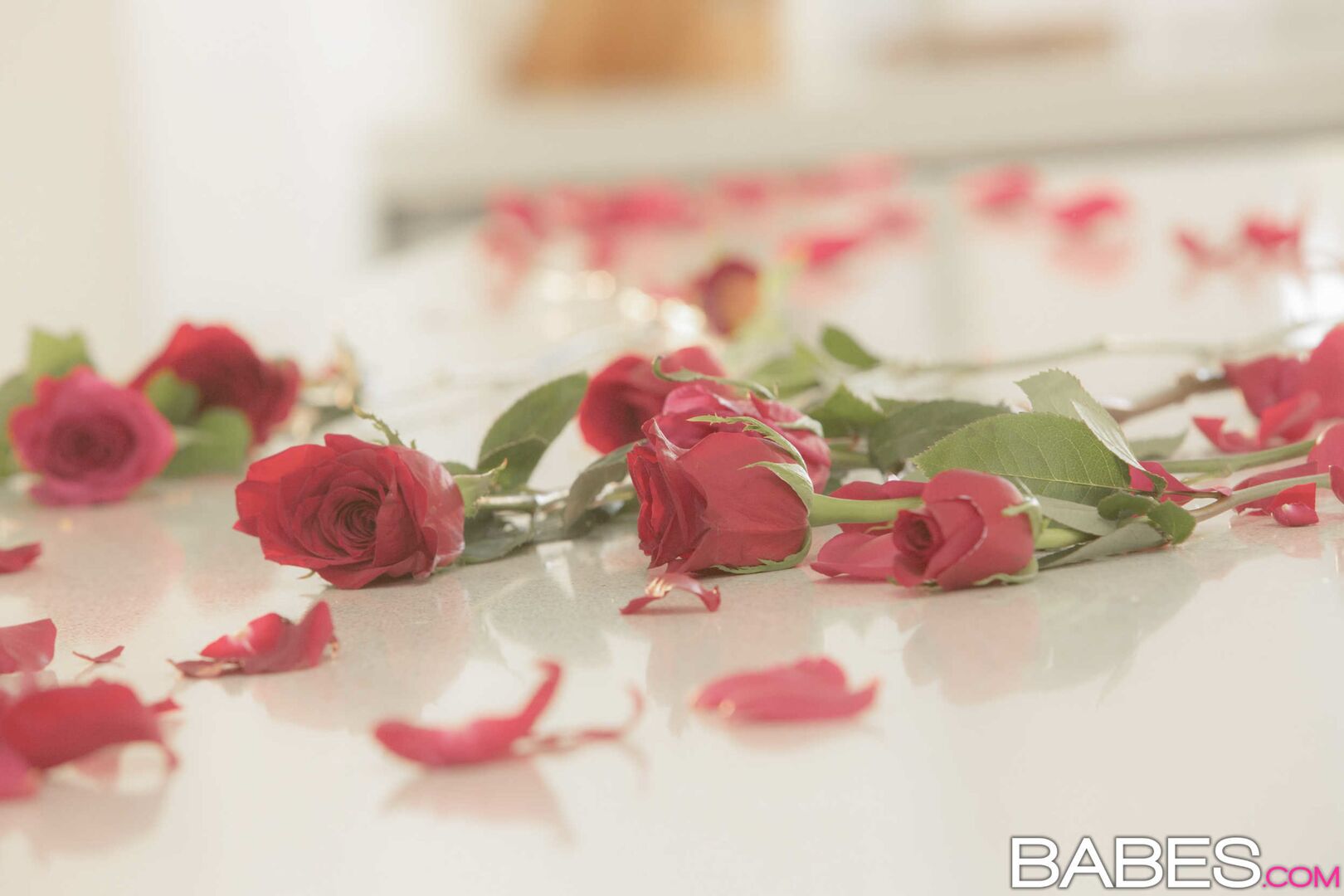 F@#k Your Flowers!
