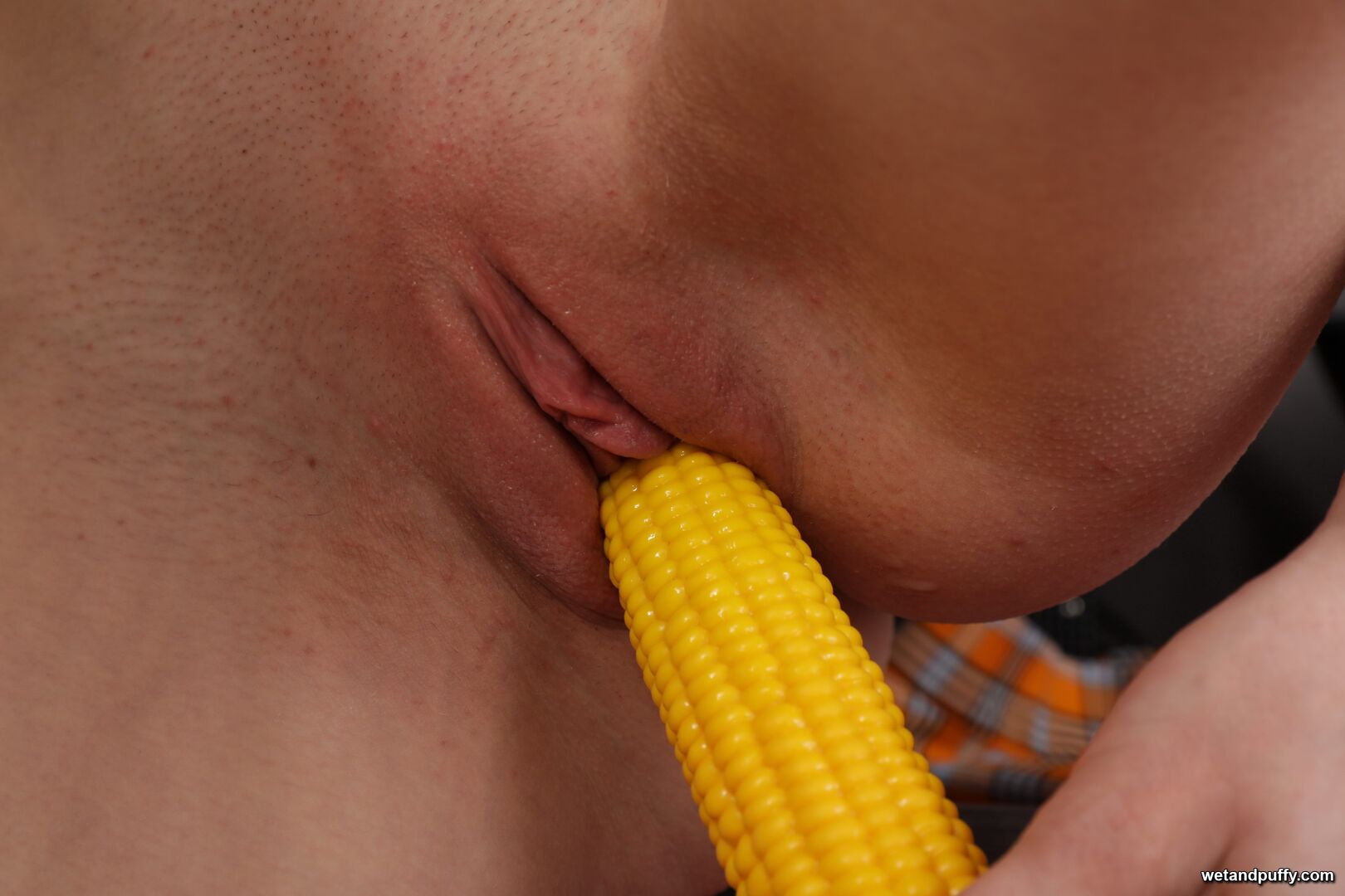 ARIAN — DELICIOUS ARIAN'S DEBUT