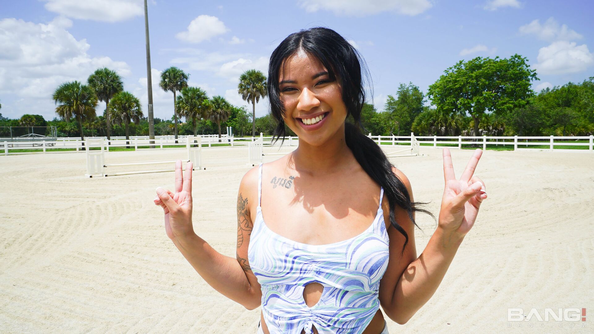 Ameena Green Give A Public Blowjob And Oils Up For Fucking