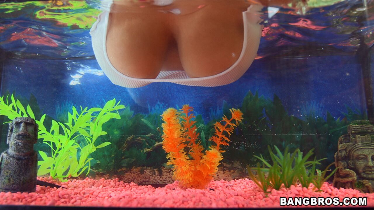 Natural Double D Tits
