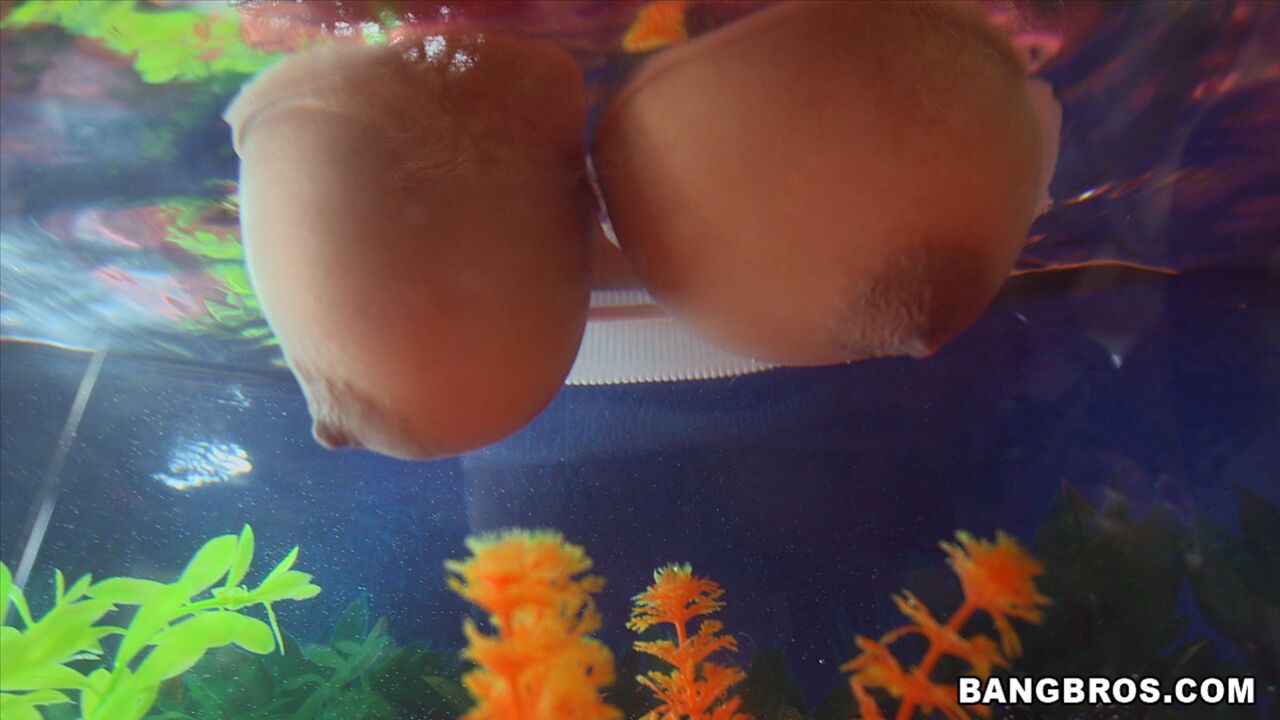 Natural Double D Tits