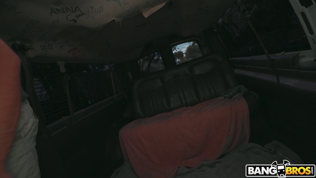 Alex Coal Reverse Bus