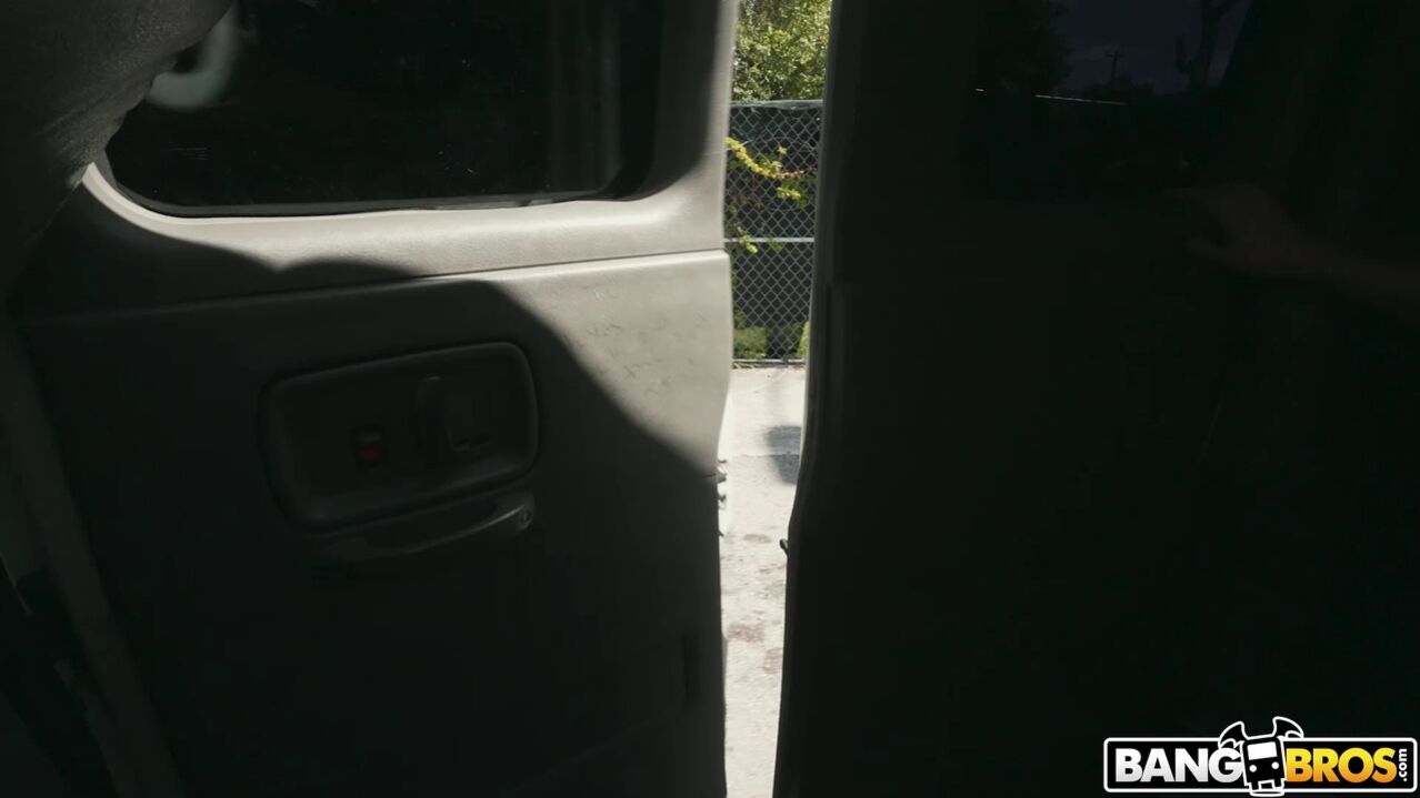 Alex Coal Reverse Bus