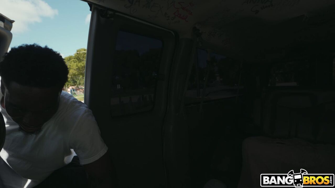 Alex Coal Reverse Bus