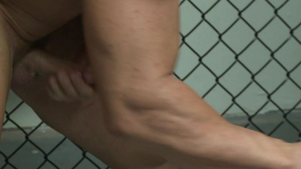 Hardcore Anal HDVSI0179