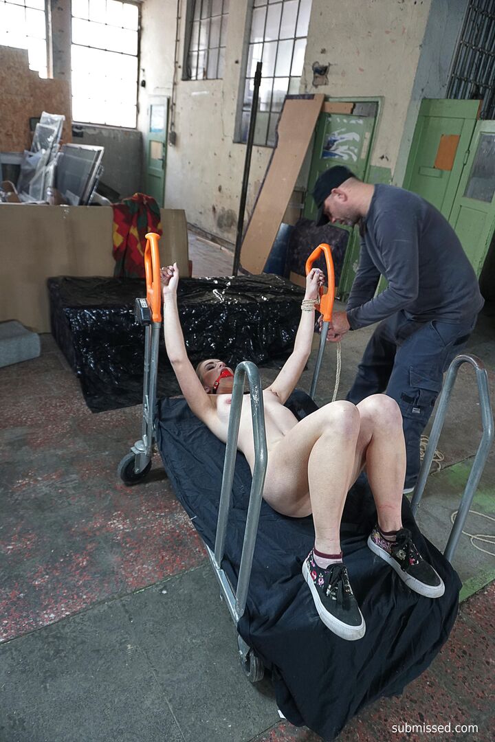 Dominated with sex toys