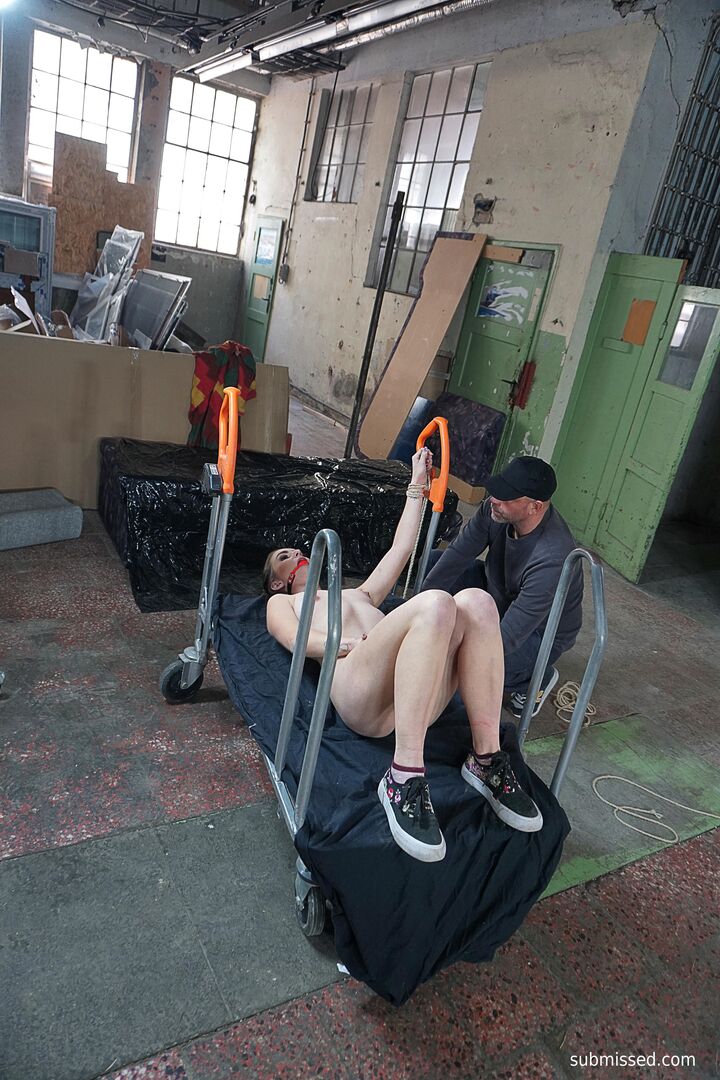 Dominated with sex toys