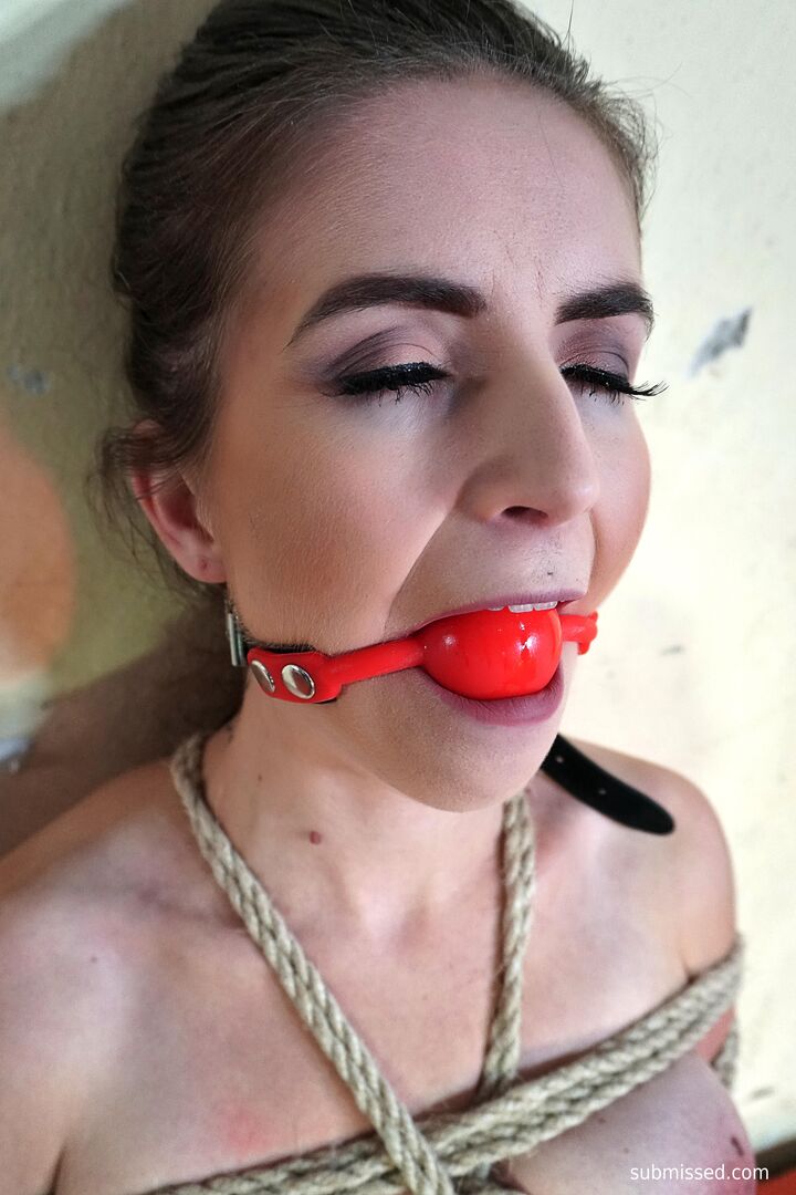 Dominated with sex toys
