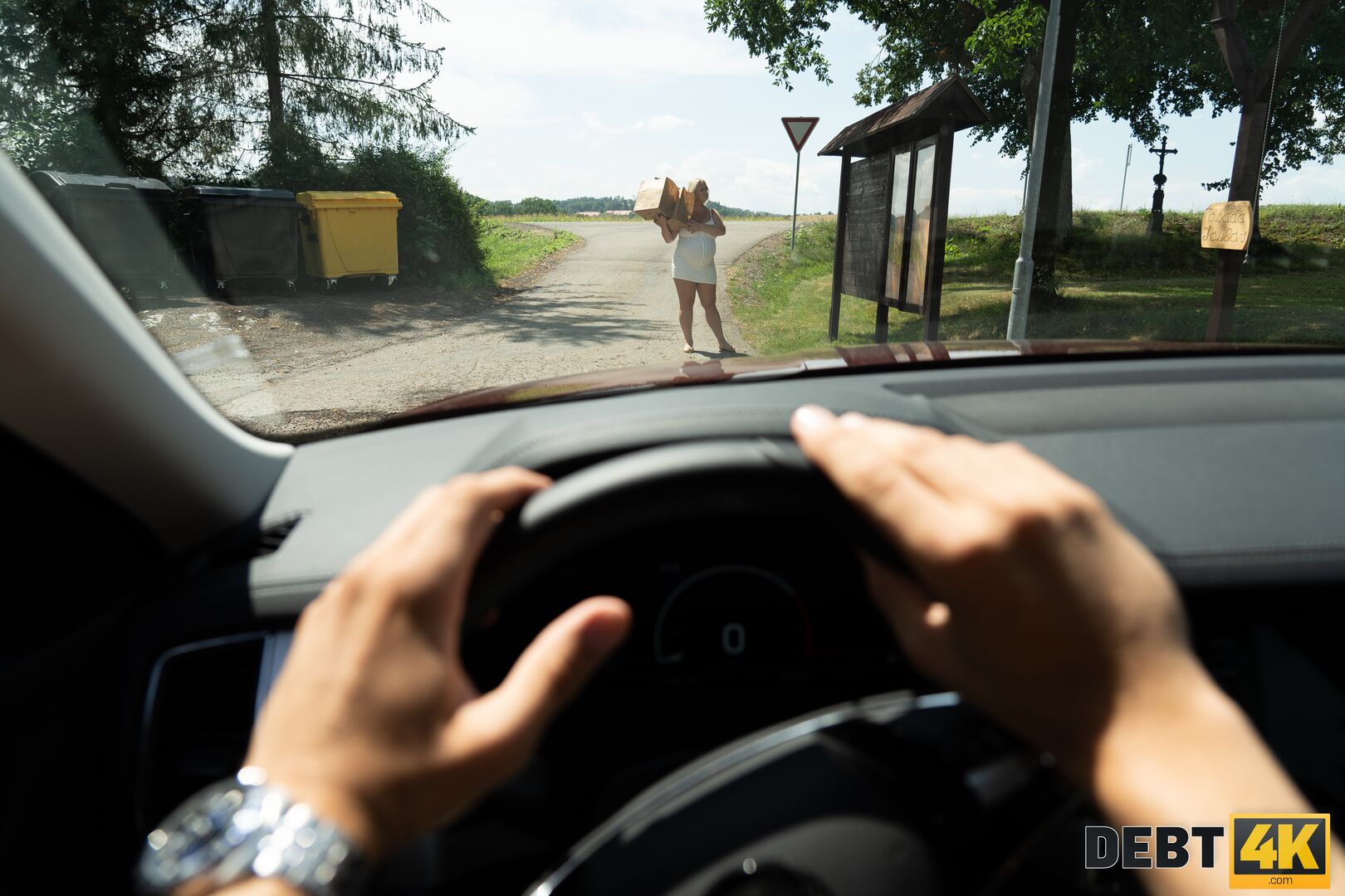 Pregnant Seductress Took Advantage of Collector's Naivety