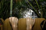 The Peeping Toms