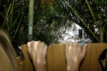 The Peeping Toms
