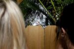 The Peeping Toms