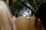 The Peeping Toms