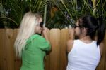 The Peeping Toms