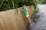 The Peeping Toms