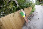 The Peeping Toms