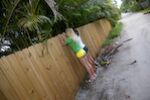 The Peeping Toms