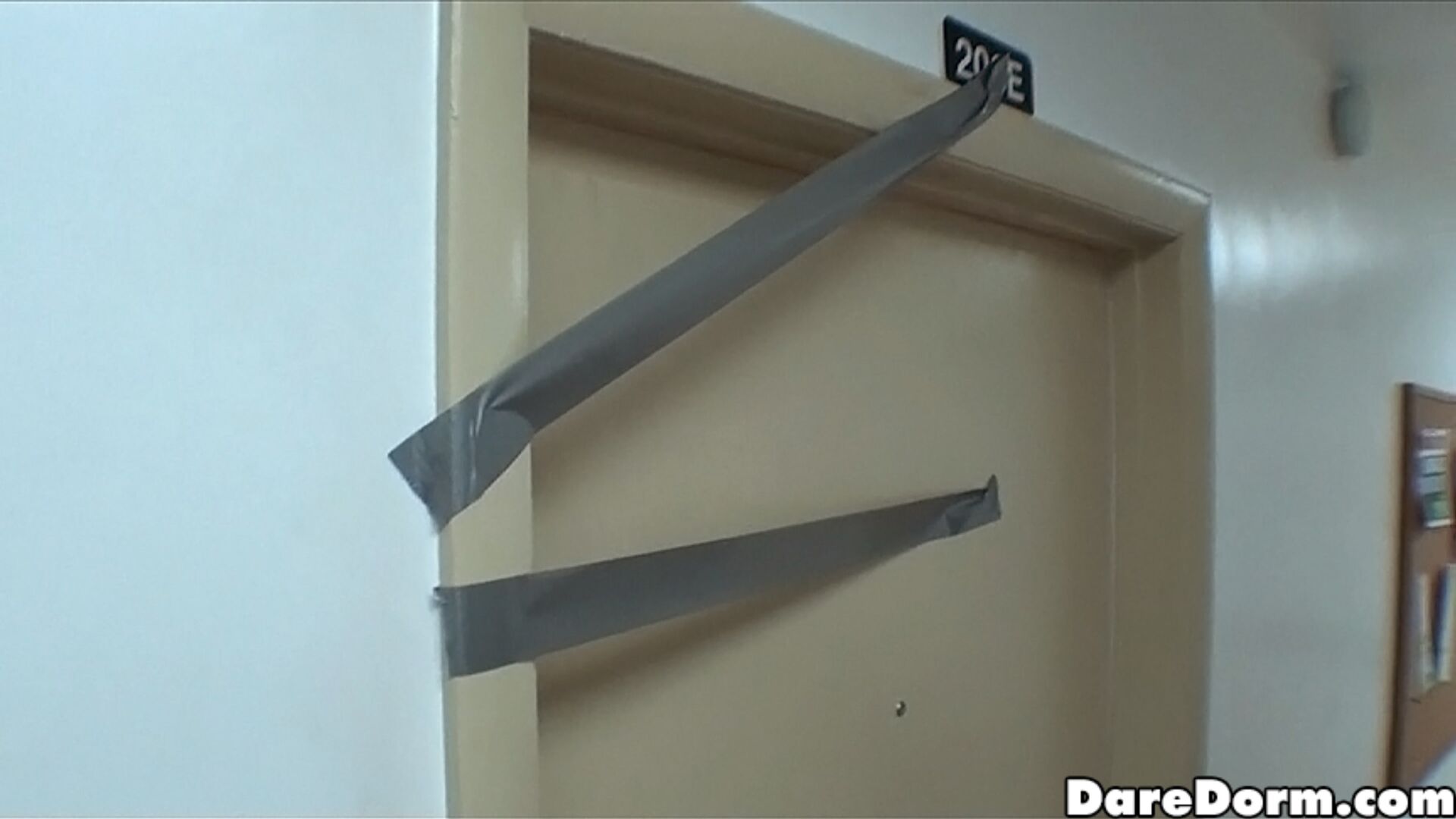 pranks 1411