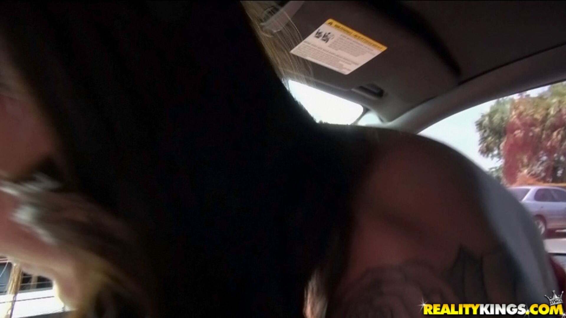 Cock Kisser