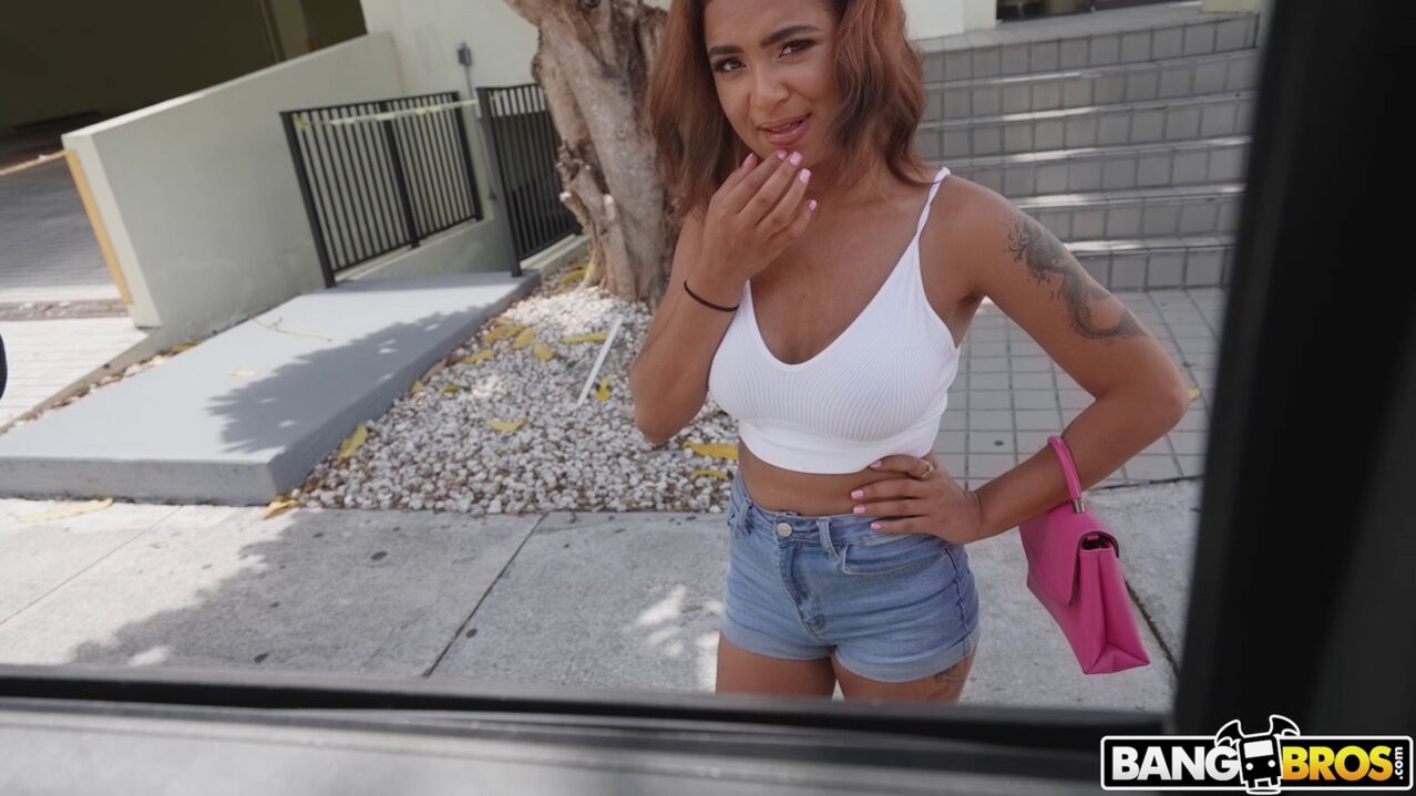 Babi Fucks In Bus For Money