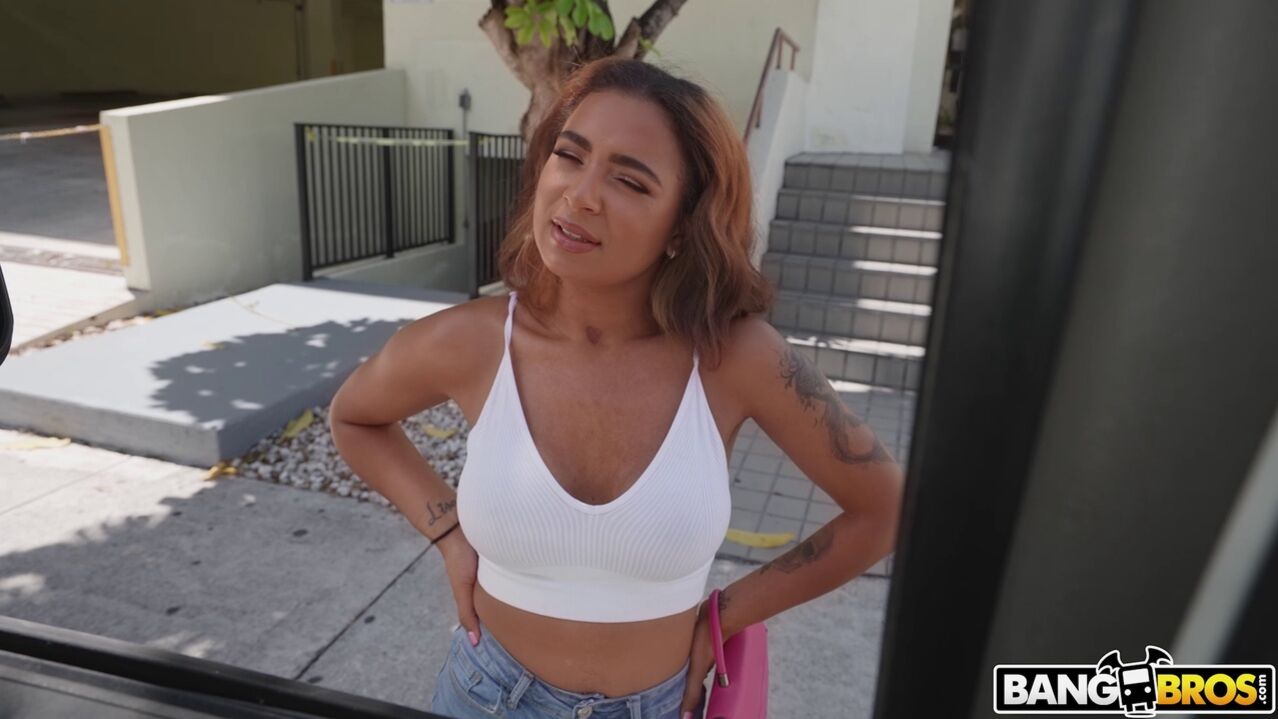 Babi Fucks In Bus For Money