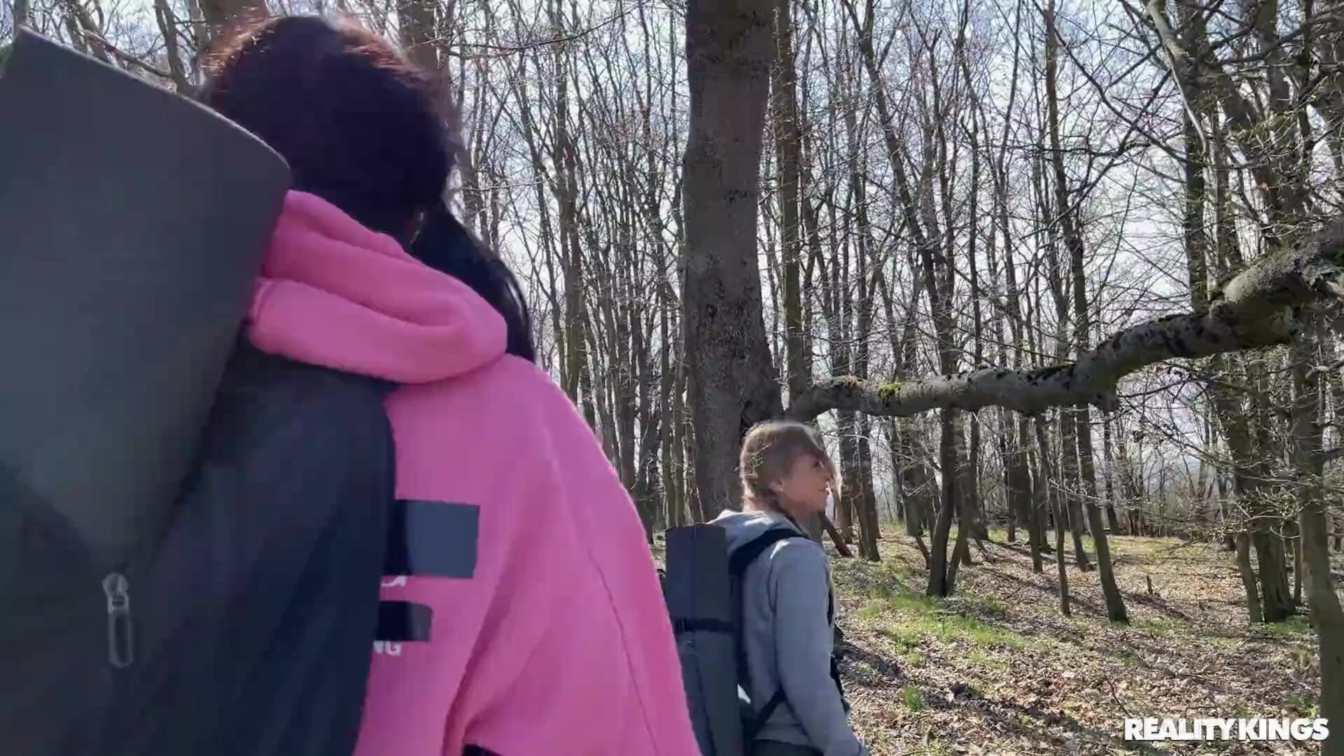 Wood in the Woods
