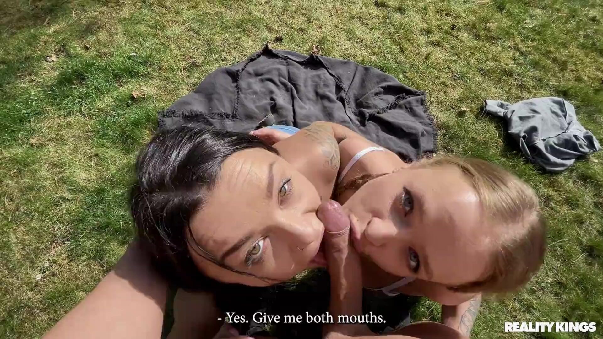 Wood in the Woods