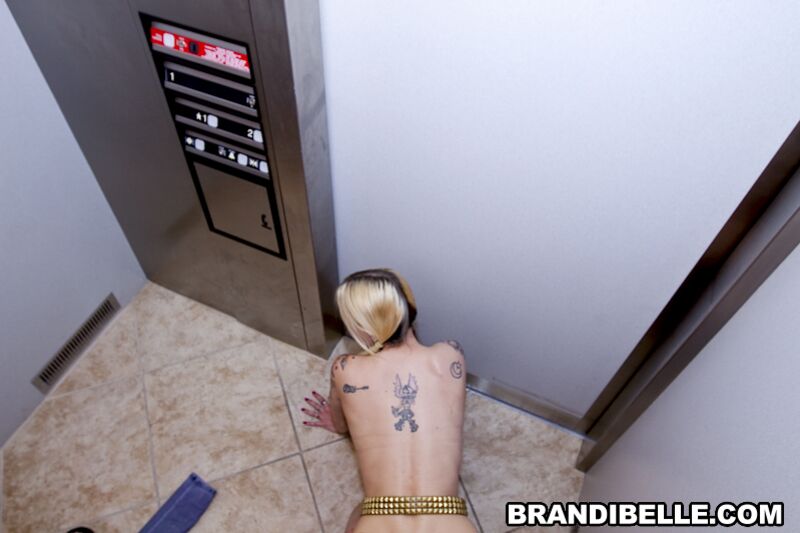 Elevator Sex Cam