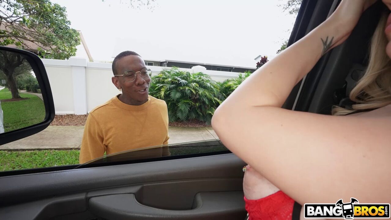 Looking for Christmas Dicks