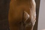 Sex in the Shower 0201